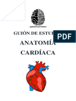 Guion de Anatomia Cardiaca-Mundo Anatomico