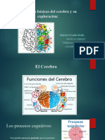 Funciones Básicas Del Cerebro y Su Exploración