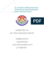 TRANSGENIC PLANTS - Phytoremediation