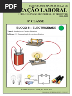 Fascículo Da 8 Classe - Iii Trimestre 2022 - 220417 - 221334