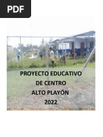 Pec 2021 Alto Playon