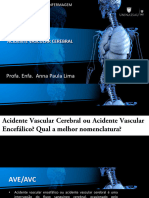 Aula 01 - Sistema Nervoso e Suas Complicaçoes