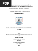 Plan de Cuidados de Enfermeria en Uci Najaida Cabrera Quispitupa Documento