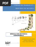 UD1 - BOTÁNICA CELULA y TEJIDOS