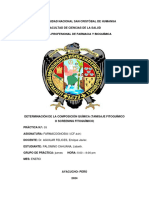 Informe N°033