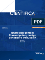 BMYG-2023-0 Ses05 Sem02 TEO Transcripción, Código Genético y Traducción