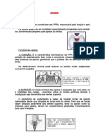 Apoios PPR PDF