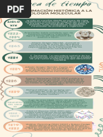 Infografia Linea de Tiempo Formas Curvas Verde y Marron