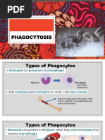 Phagocytosis