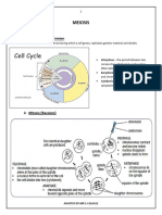 MEIOSIS Notes