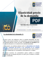 Elasticidad Demanda