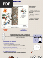 Aula Fisiologia 4