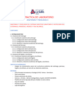 1a Práctica de Lab AyFII Sistema Digestivo (Estómago, Hígado y Páncreas)