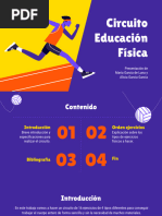 Circuito Educación Física