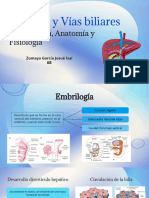 Embriología Anatomia y Fisiologia