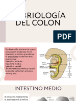 El Colon Expo