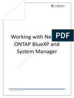 Working With NetApp ONTAP System Manager and BlueXP