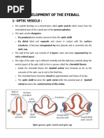 Embryology of Eye - 1