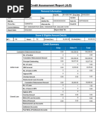 Credit Summary Report