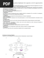 12 Production of Haploid Plants