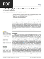 Leather Dyeing by Plant-Derived Colorants in The P