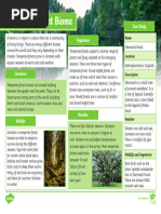 Temperate Forest Biome