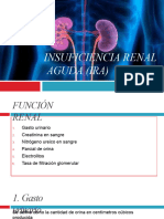 6 Insuficiencia Renal Aguda