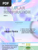 Cellular Respiration1