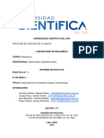 Informe 2