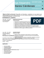 Curriculum Vitae 9