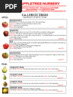 2024 4 in 1 Fruit Trees