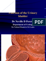 Bladder Function 2