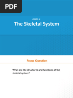 BIO - Lesson - 2 - The - Skeletal - System - Part 2