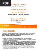 Tarea 1 Que Es Un Proyecto