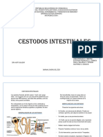 Cestodos Intestinales