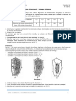 Série 2 1ère S2 Nafooré 2122