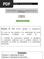 Ecue STPR102 Totu