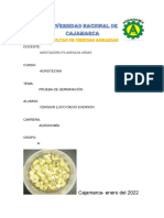 Prueba de Germinación