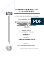 Dinamicas de Carbono y Nitrogeno Tolcayuca