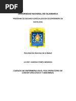 Cuidado de Enfermeria en El Pos Operatorio de Cáncer Urológico