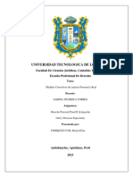 Medidas de Coercion Personal y Real 2.0 - Elisa Enriquez Cusi