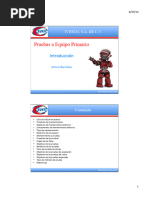 01 Pruebas A Equipo Primario Introduccion