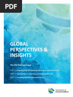 IIA - Esg - Risk - Landscape - Parts - 1-3-Final