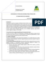 Tecnologias Dispobibles en La Produccion de Granos Basicos