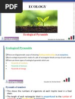 Ecology 2 - Lesson Notes