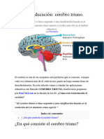 Neuroeducación Cerebro Triuno