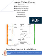 Capitulo. Metabolismo de Carbohidratos. Glucolisis, Fructuosa. Galactosa, Manosa, Glucogenesis, Glucogenolisis y Gluconeogenesis