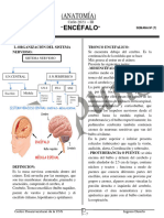 Anatomia Semana 07 2021-Iii