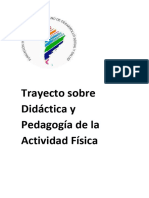 Trayecto Sobre Didáctica y Pedagogía de La Actividad Física