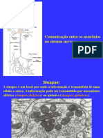 Psicologia Aula6 2017